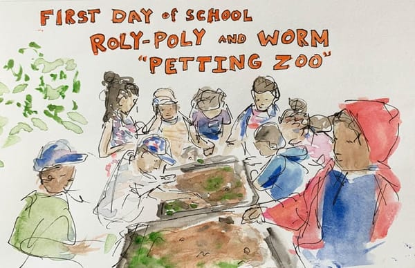 Sketch of small kids intently examining tubs of what looks like soil and leaves: a "petting zoo" with worms and roly-polies.